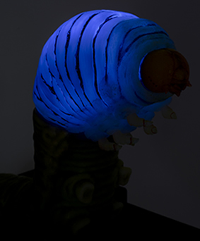 光るシロモンフサヤガ幼虫模型